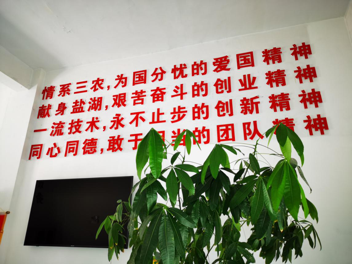 1625049860115630.png 1625049860115630.png